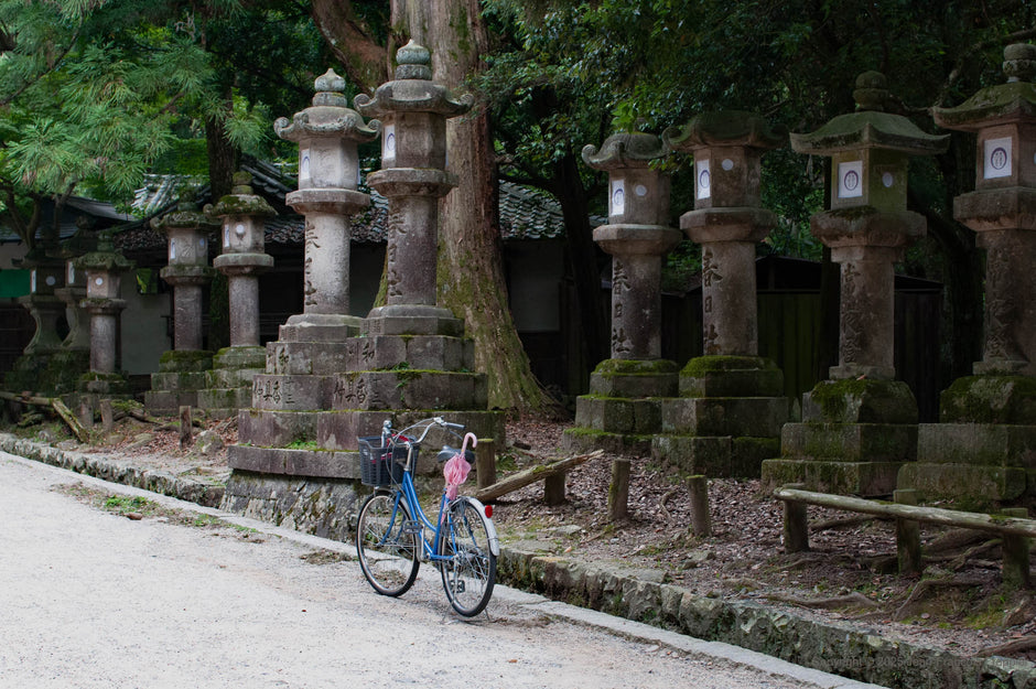 Japan 4 - Photograph print framed with black frame 30.5 cm X 45.7 cm (12" X 18")