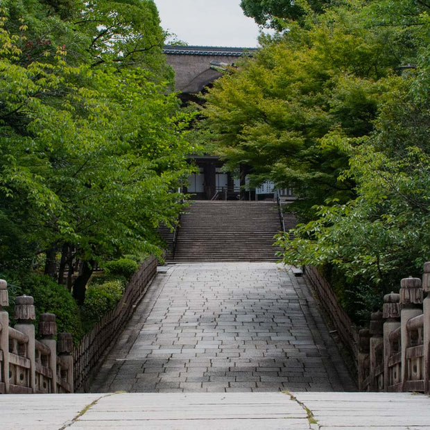 Japan 5 - Photograph print framed with black frame 30.5 cm X 45.7 cm (12" X 18")