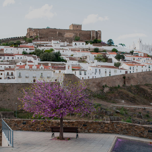 Portugal 8 - Photograph print framed 27.9 cm X 35.6 cm (11" X 14")