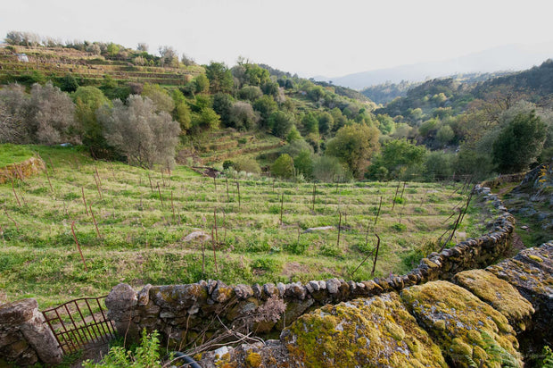 Portugal - Photograph print framed with black frame 61.0 cm X 91.4 cm (24" X 36")