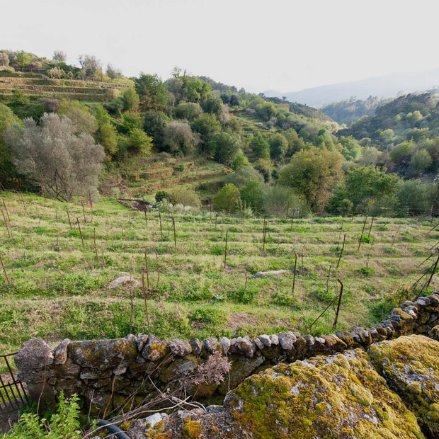 Portugal - Photograph print framed with black frame 40.6 cm X 61.0 cm (16" X 24")