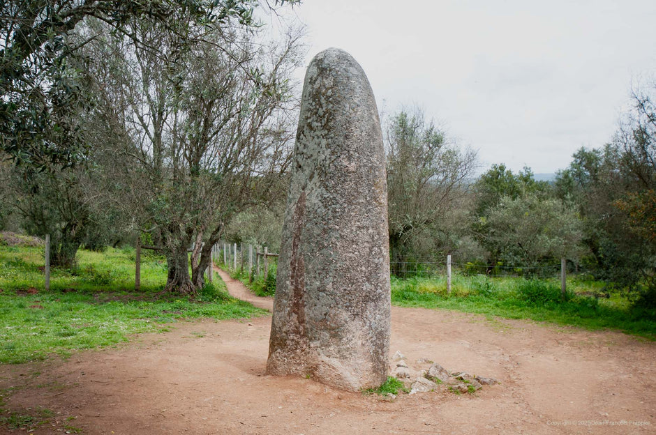 Portugal - Photographie imprimée seule 40,6 cm X 61,0 cm (16" X 24")