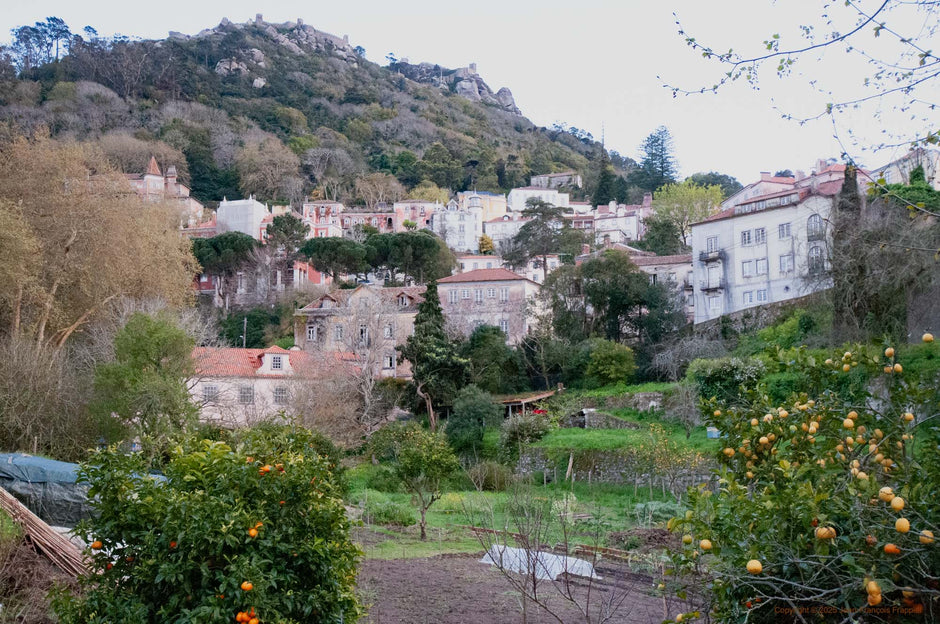 Portugal - Photograph print framed with black frame 30.5 cm X 45.7 cm (12" X 18")