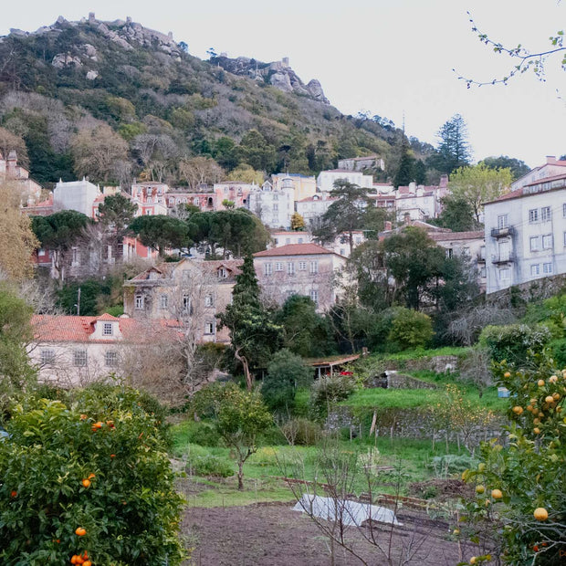 Portugal - Photograph print framed with black frame 30.5 cm X 45.7 cm (12" X 18")